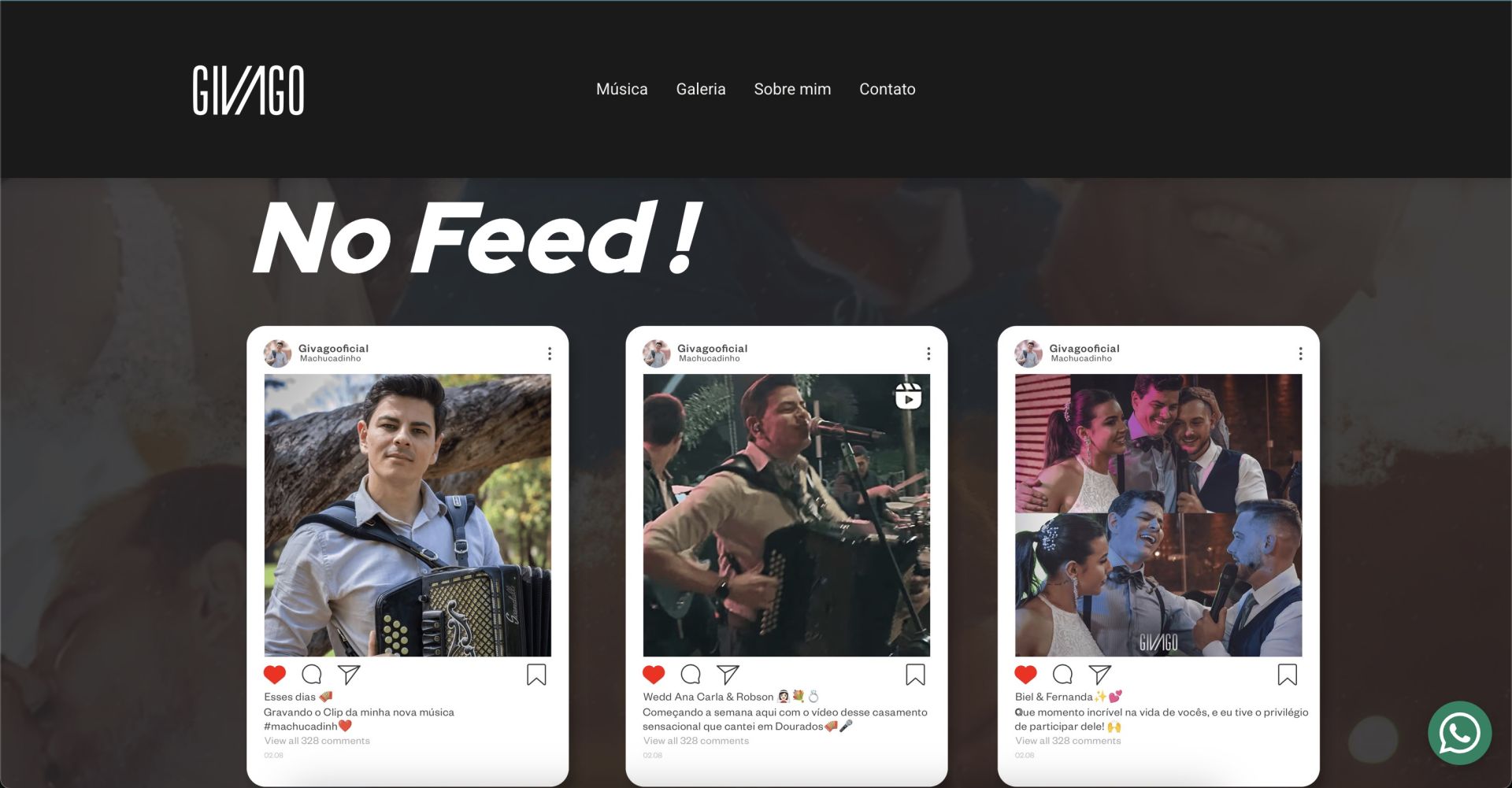 Hostinger Instrumentalist Website Example