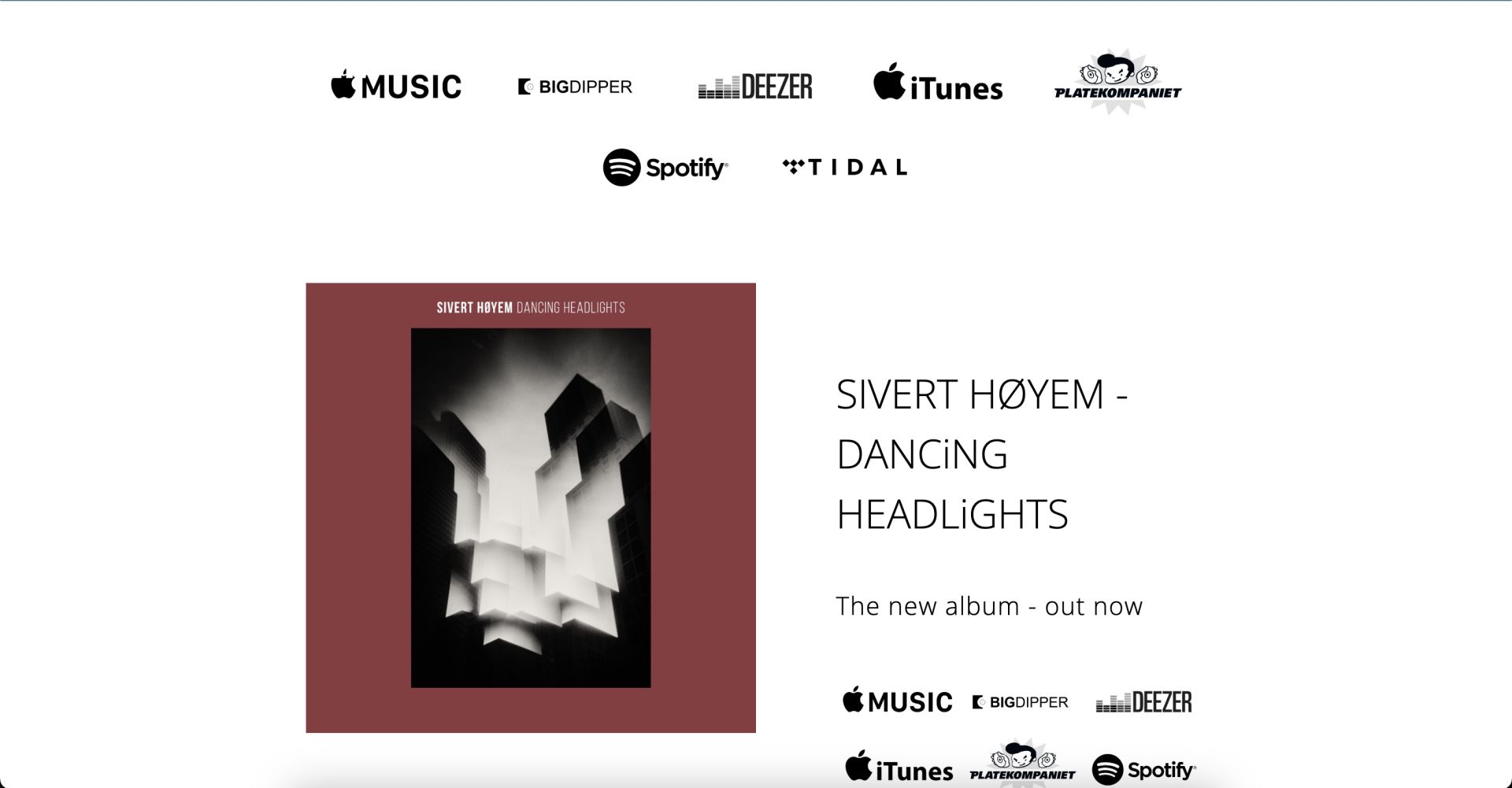 Hostinger Singer Website Example